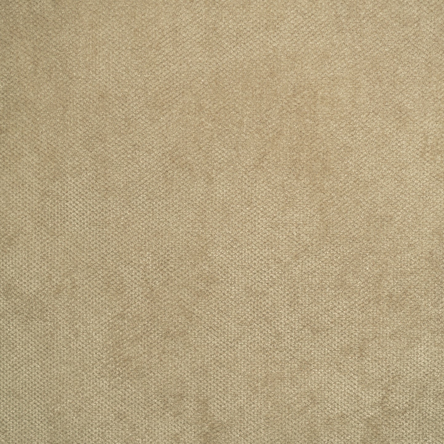 Vogue Color Beige
